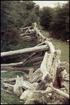 Primary view of object titled 'Great fence of logs'.
