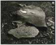 Photograph: [Photograph of two stones]