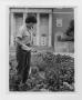 Photograph: [Groundskeeper watering flowerbed]