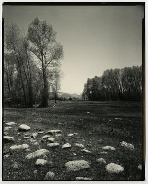 Primary view of object titled '[Photograph of a large field]'.