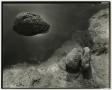 Photograph: [Photograph of rocks in shallow water, 2]