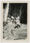 Photograph: [Three women posing on rocks]