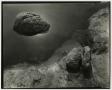 Photograph: [Photograph of rocks in shallow water]