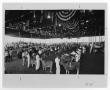 Thumbnail image of item number 1 in: '[Dairy cows being shown at the 1966 State Fair of Texas]'.