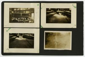 Primary view of object titled '[Album page with five photos "cat/restaurant"]'.