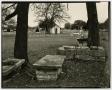 Primary view of [Photograph of a graveyard]