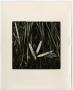 Photograph: [Photograph of reeds and leaves, 2]