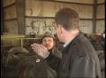 Video: [News Clip: Tire recycling]