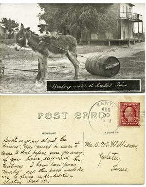 Primary view of object titled '[Postcard of a donkey hauling water]'.