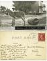 Thumbnail image of item number 1 in: '[Postcard of a donkey hauling water]'.