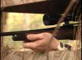 Primary view of [News Clip: Tippet outdoors]