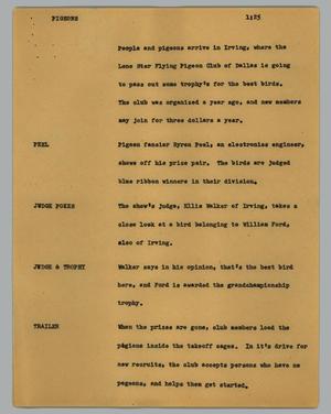 Primary view of object titled '[News Script: Pigeons]'.
