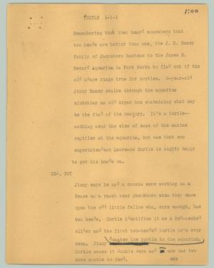 Primary view of object titled '[News Script: Turtle]'.