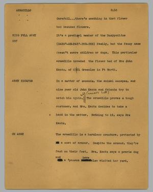 Primary view of object titled '[News Script: Armadillo]'.