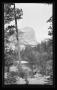 Primary view of [Half Dome]