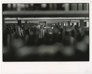 Primary view of object titled '[Photograph of a student looking at the bookshelves]'.