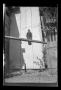 Photograph: [A pigeon on a plank]
