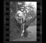 Photograph: [Dana Long posing in a tree]