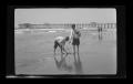 Thumbnail image of item number 1 in: '[Byrd Williams III playing with his brother John on the beach]'.