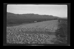 Primary view of object titled '[A road in the desert]'.