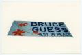 Photograph: [AIDS Memorial Quilt Panel for Bruce Guess]