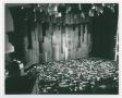 Photograph: [Curtain Time at the Opera House]