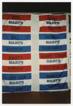 Primary view of object titled '[AIDS Memorial Quilt Display for Mary's Naturally]'.