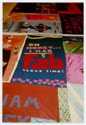 Primary view of object titled '[AIDS Memorial Quilt Panels]'.