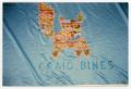 Photograph: [Quilt Panel Dedicated to Craig Bines]