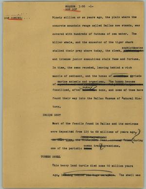 Primary view of object titled '[News Script: Museum]'.