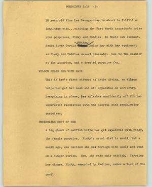 Primary view of object titled '[News Script: Porpoises]'.