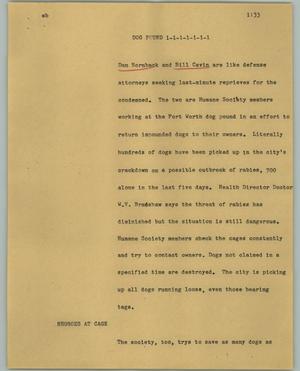 Primary view of object titled '[News Script: Dog pound]'.
