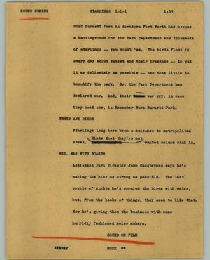 Primary view of object titled '[News Script: Starlings]'.