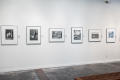 Photograph: [Six Photographs on an Exhibit Wall]