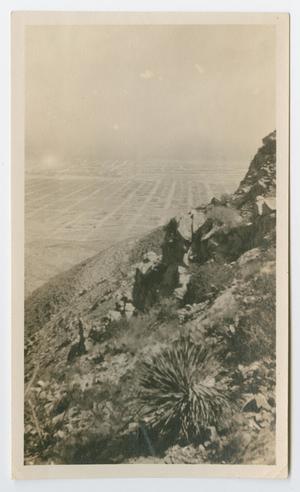 Primary view of object titled '[A landscape from the Byrd Williams Jr. album, 1907-1920]'.