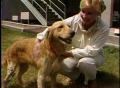 Video: [News Clip: Disabled animals]