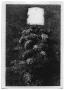 Thumbnail image of item number 1 in: 'Headstone of Bunt Vise's grave'.