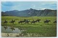 Thumbnail image of item number 1 in: '[Postcard of Mountain Horseback Riding]'.