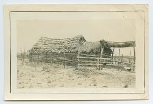 Primary view of object titled '[Jacal Home With Thatched Roof]'.