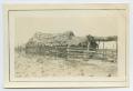 Primary view of [Jacal Home With Thatched Roof]