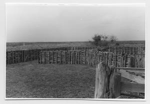 [Frontal View of Wooden Fence]