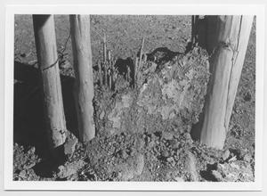 Primary view of object titled '[Wall Structure of Collapsed Jacal Home]'.
