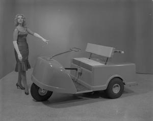 [Model with Cart]