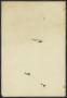 Thumbnail image of item number 2 in: '[Poster: Bill Cody Wild West and American Heritage Show]'.
