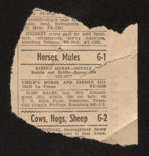[Clipping: Hay for Sale]