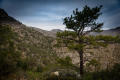 Photograph: Photograph from Guadalupe Peak Trail