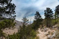 Primary view of Photograph on the Guadalupe Peak Trail