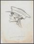 Thumbnail image of item number 1 in: '[Cartoon Sketch of a Squadron Leader]'.