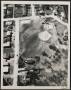 Photograph: [Aerial View of Beverly Hills Park and Surrounding Area]
