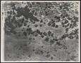 Thumbnail image of item number 1 in: '[Aerial View of Arcadia Park and Surrounding Area]'.